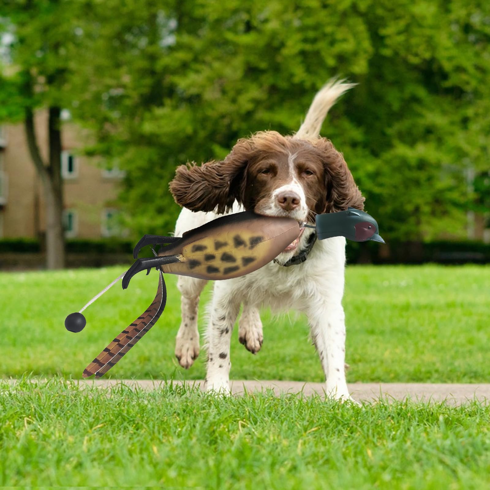 SYWAN Realistic waterfowl dummy helps learn precise grip and carry.