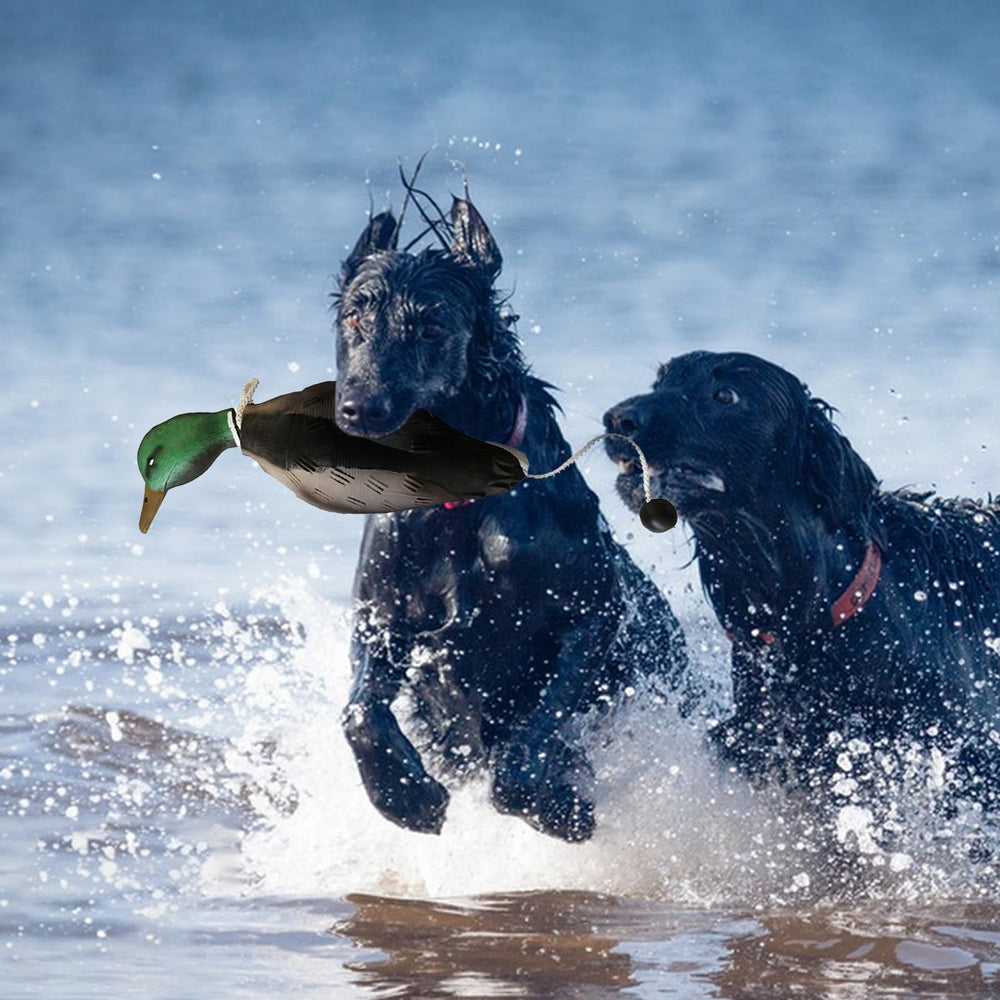 SYWAN realistic bird design promotes natural retrieval instincts during practice