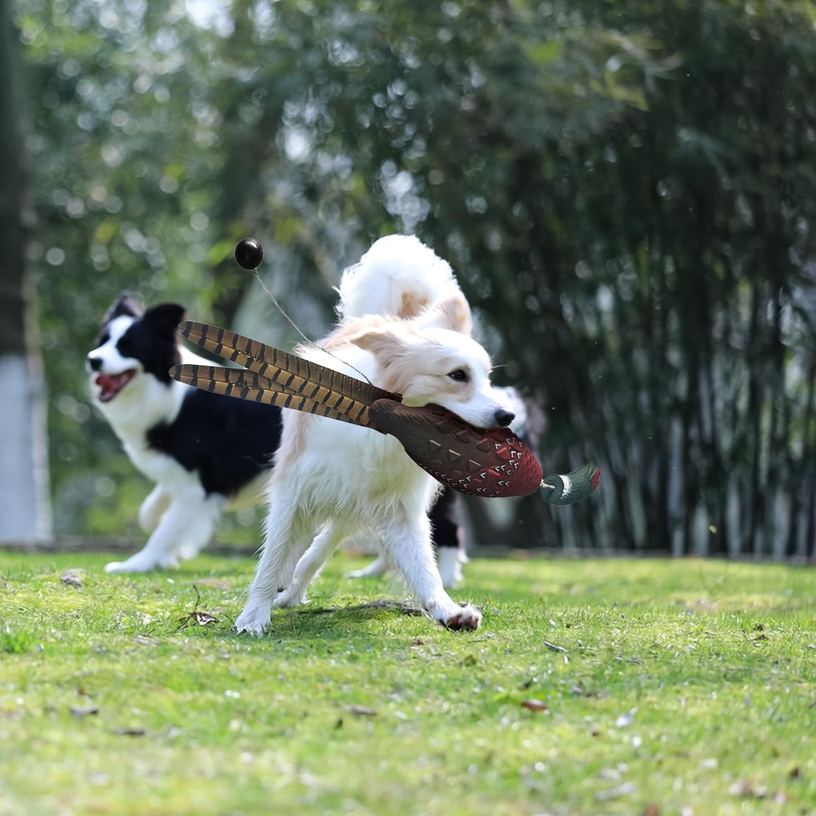 SYWAN water retrieval dummy supports training for swimming and fetching