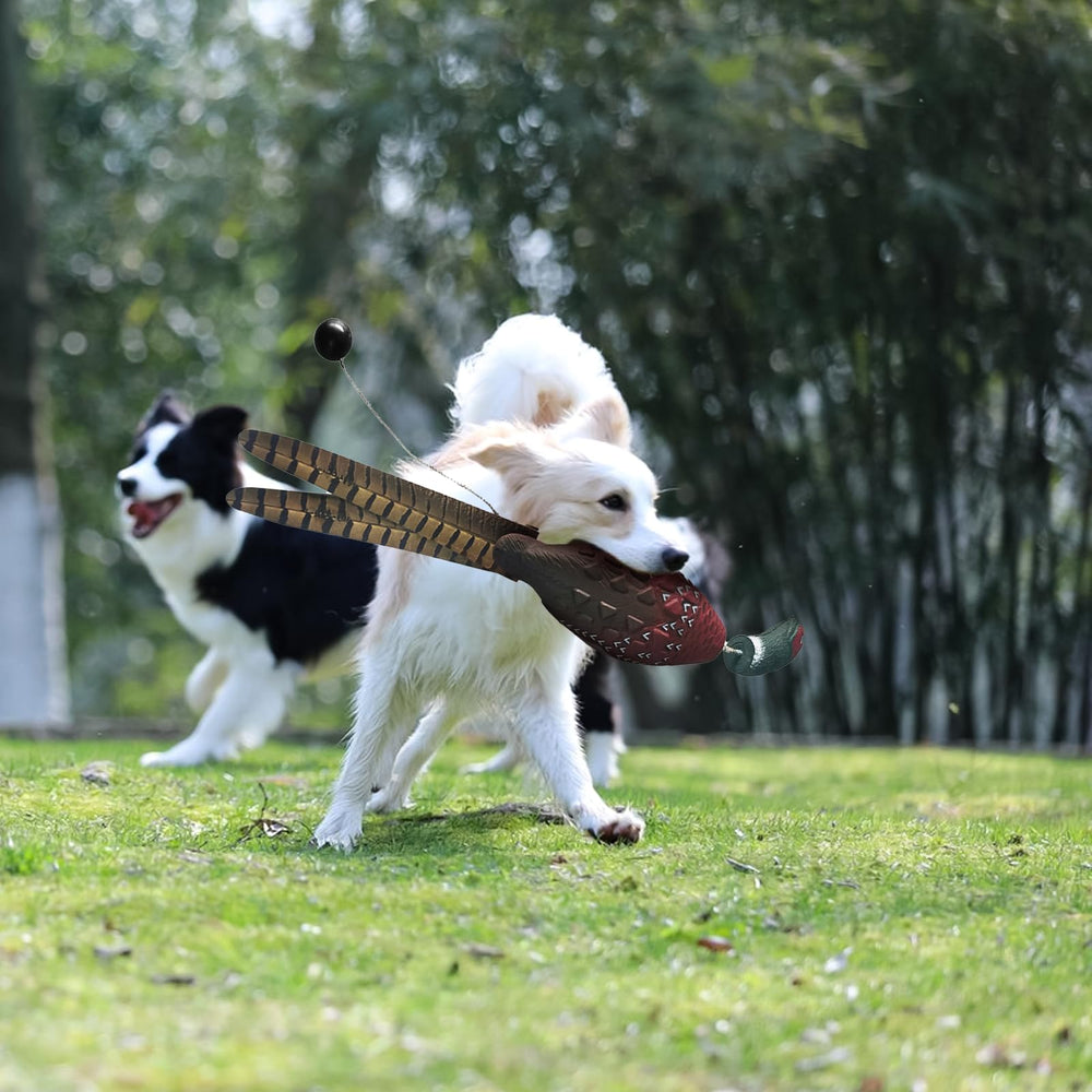SYWAN water retrieval dummy supports training for swimming and fetching