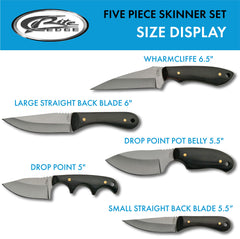 Close-up of pakkawood handle on SZCO Supplies 5Pc Skinning Knife Set