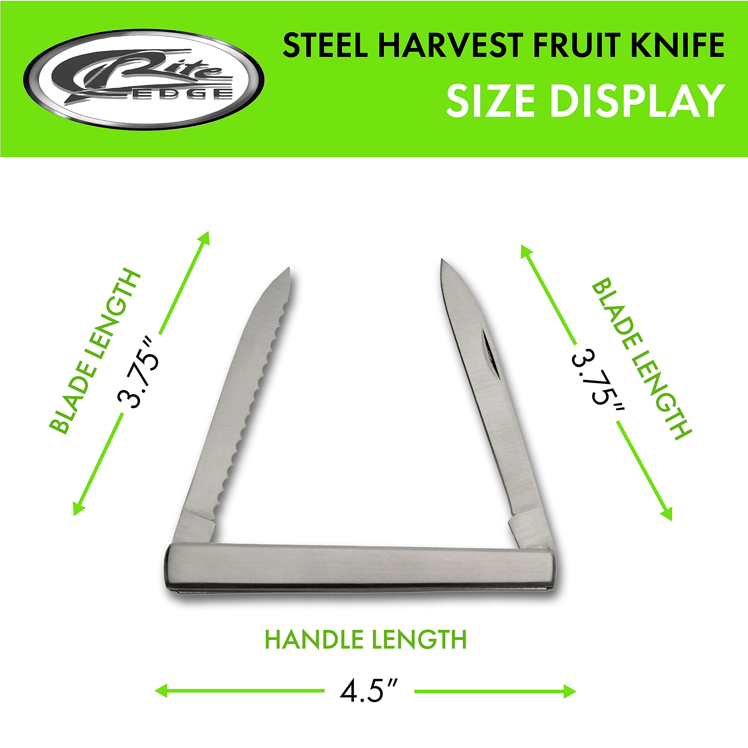 Close-up of dual stainless steel blades and sheath for gardening and camping
