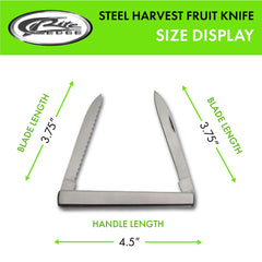 Close-up of dual stainless steel blades and sheath for gardening and camping