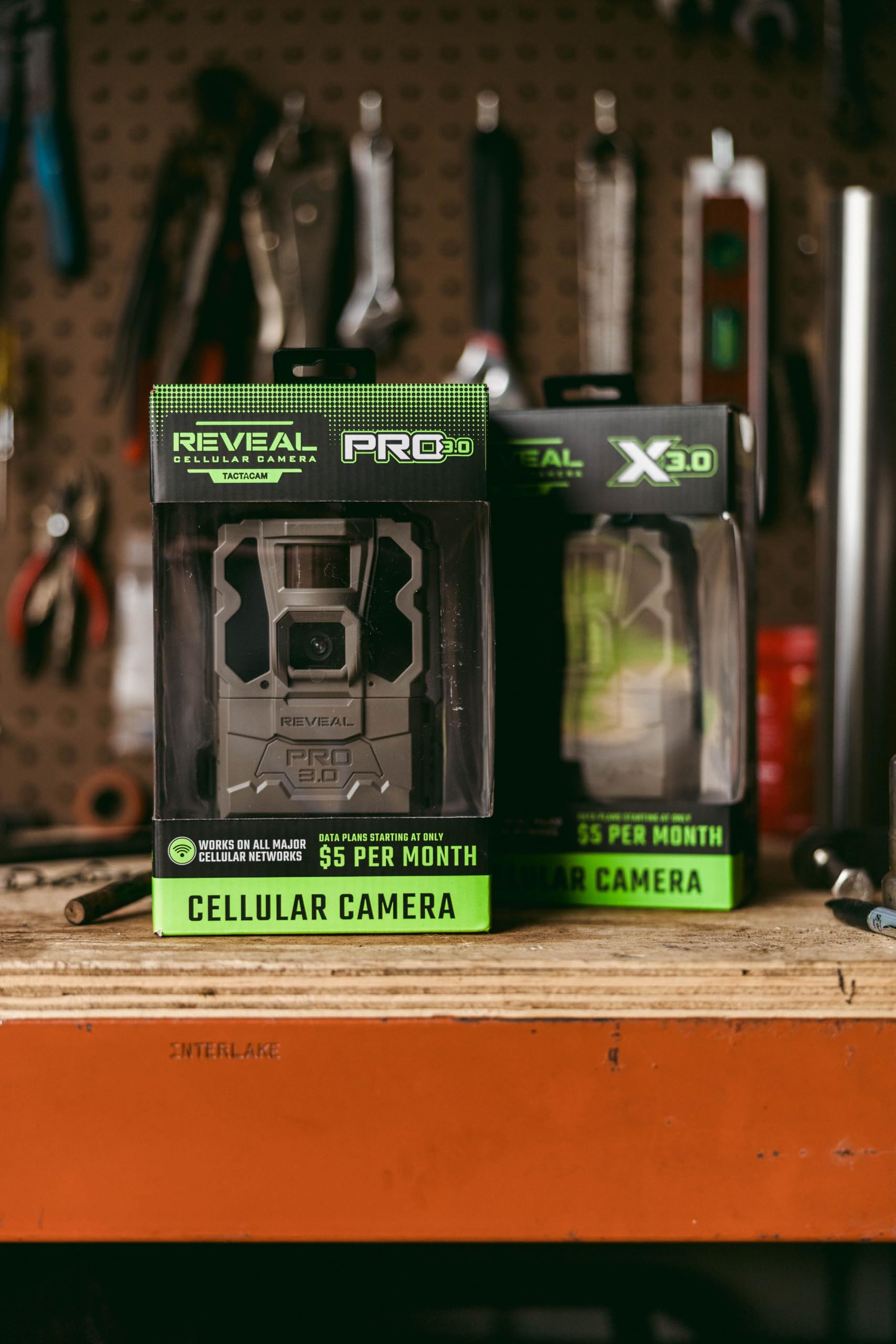 TACTACAM Reveal Pro 3.0 night shots with discreet infrared for wildlife insight.