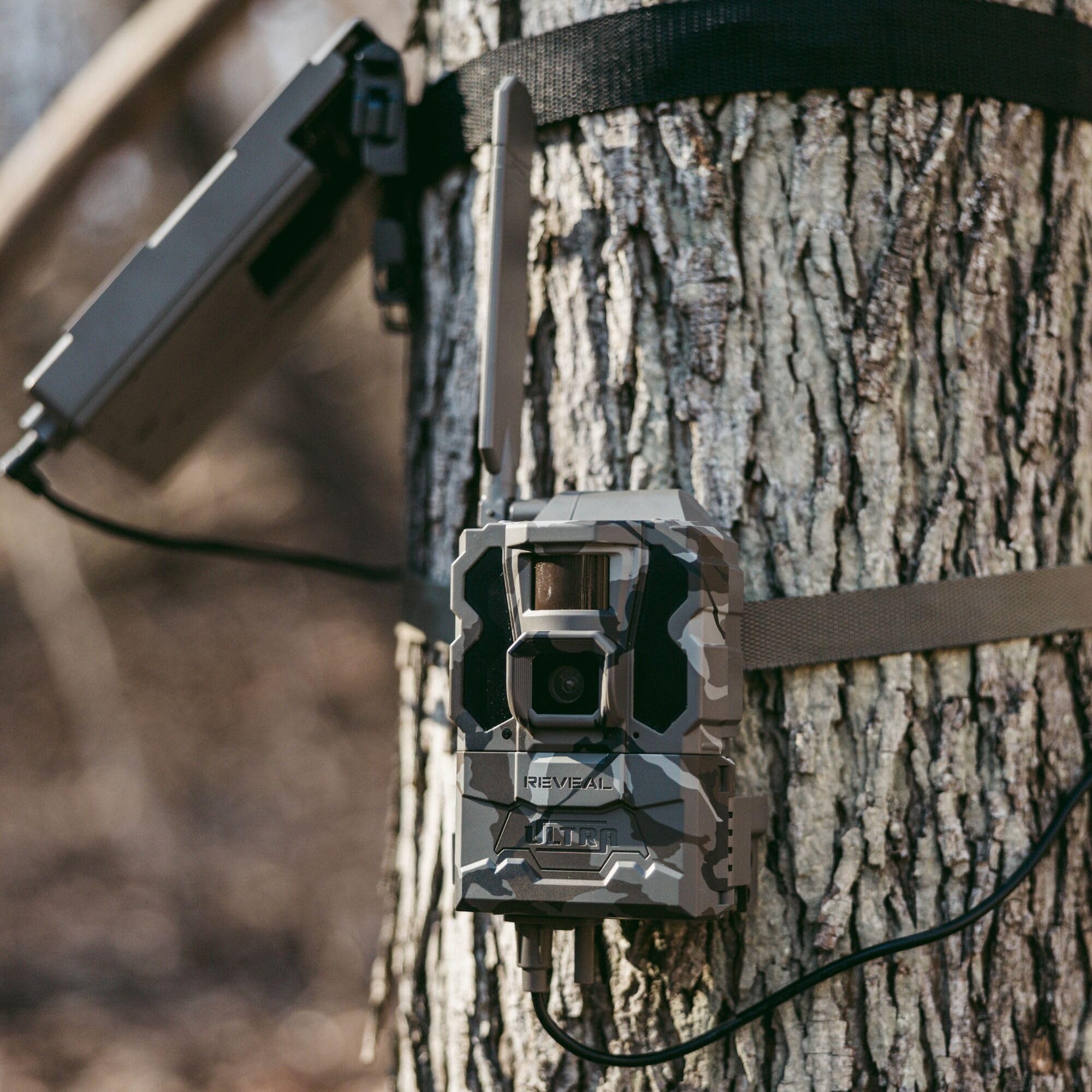 TACTACAM Reveal Ultra live video on phone keeps you connected to activity in real time.