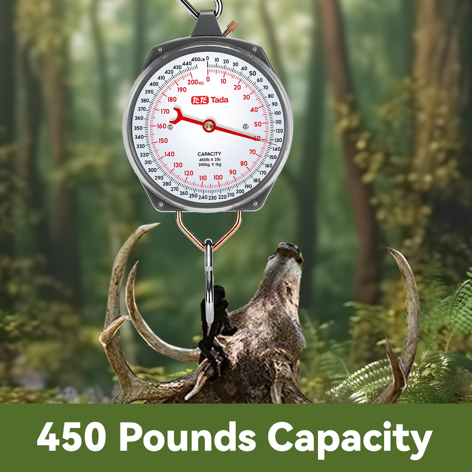 TADA Game Scale used in farm setting weighing hay and feed.