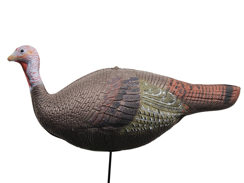 TargetEvo turkey decoys measure 24 by 8 by 8 inches for lifelike proportions.