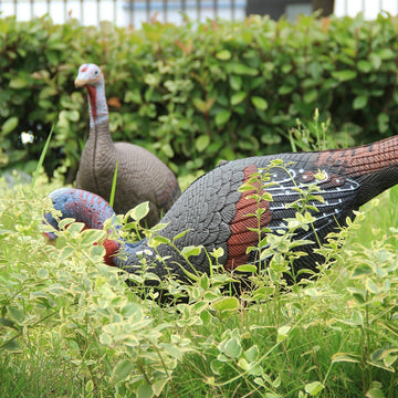 TargetEvo turkey decoys offer two stakes for multiple ground positions.