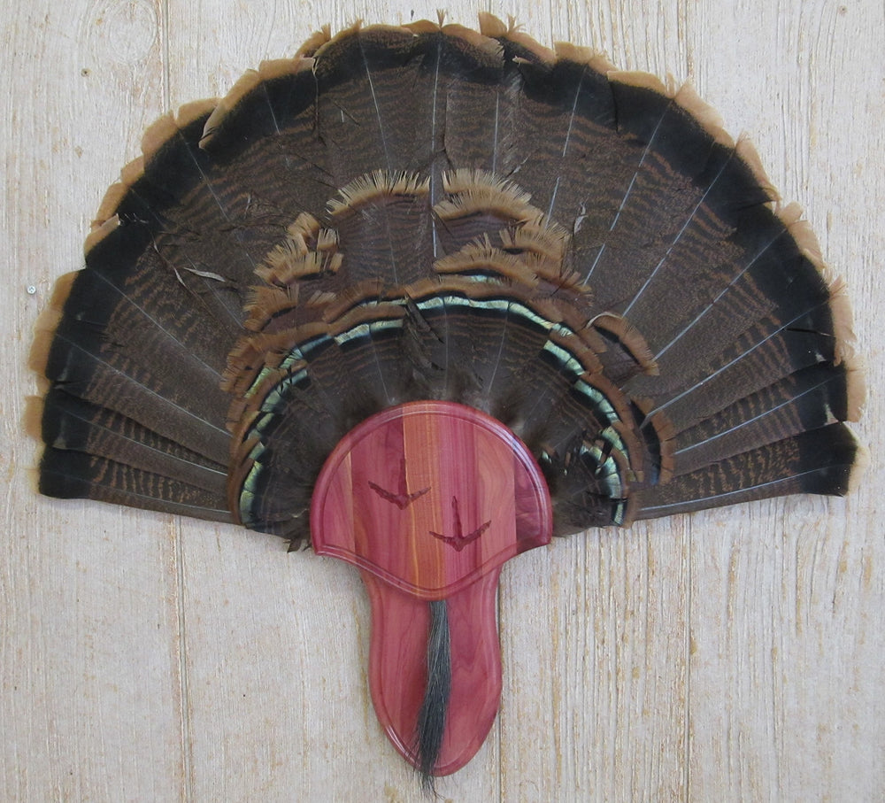 Taxidermists Woodshop Cedar Carved Turkey Mounting Kit back view—stable mounting.