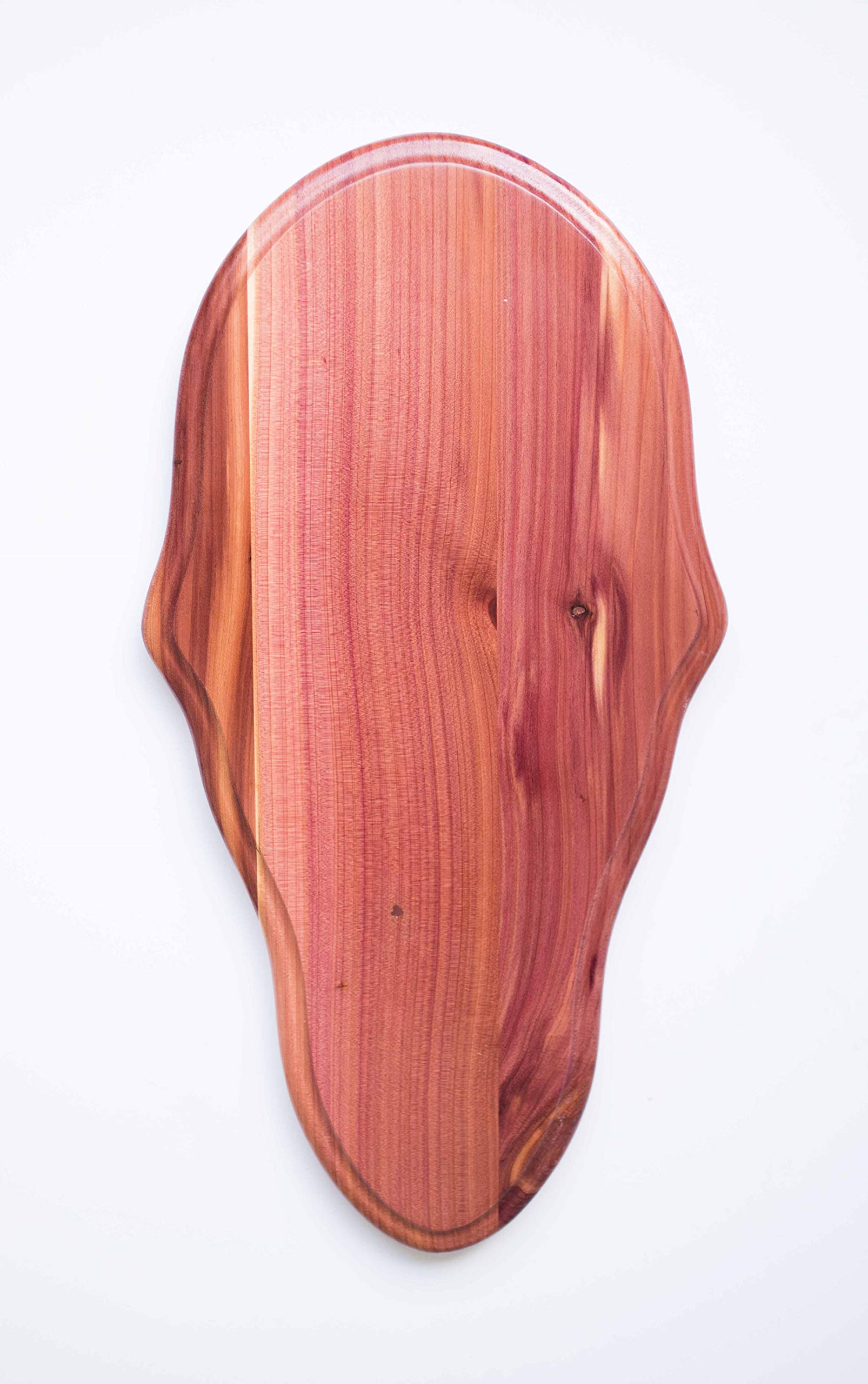 Taxidermists Woodshop Cedar face plate for European deer mount, enhances display with natural finish