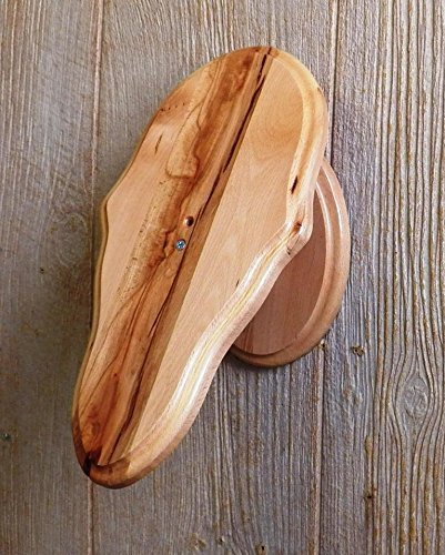 Taxidermists Woodshop solid-beech pedestal plaque with rustic satin finish for wall or tabletop display