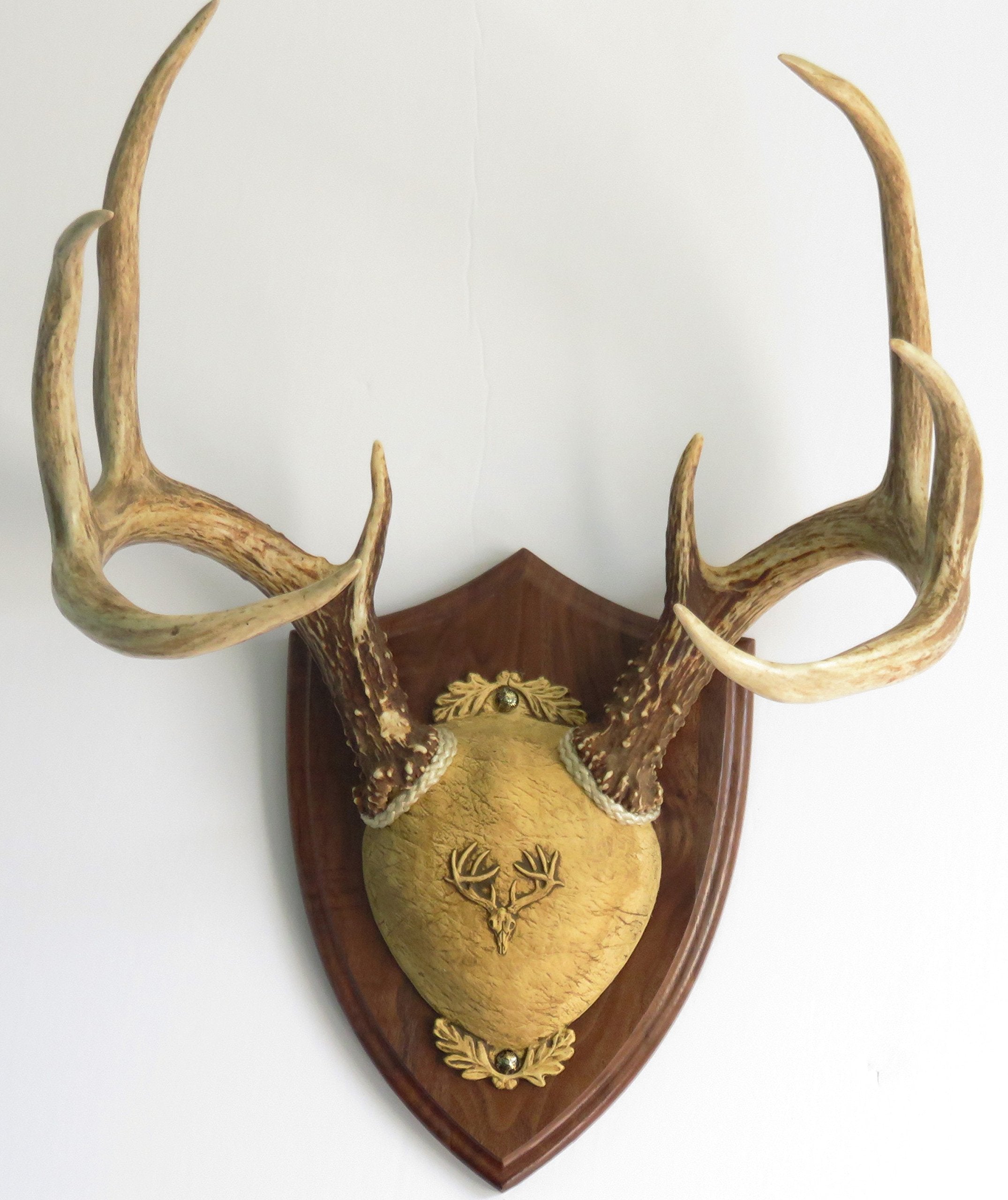 Taxidermists Woodshop TTW Ultimate Antler Mount Kit DIY assembly with braided rope for quick, personalized mounts.