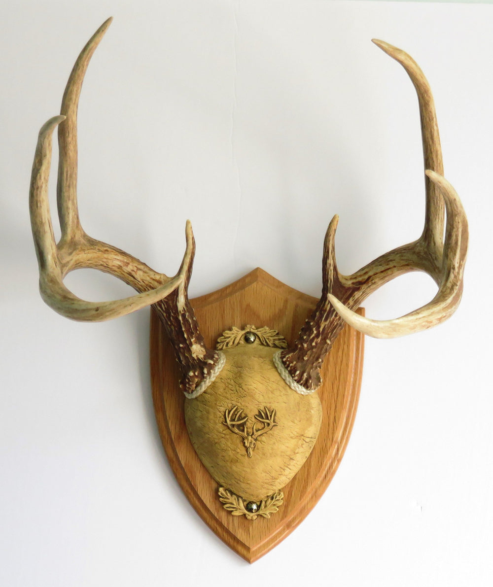 Taxidermists Woodshop TTW braided rope and hardware in medium oak enable straightforward DIY mounting.
