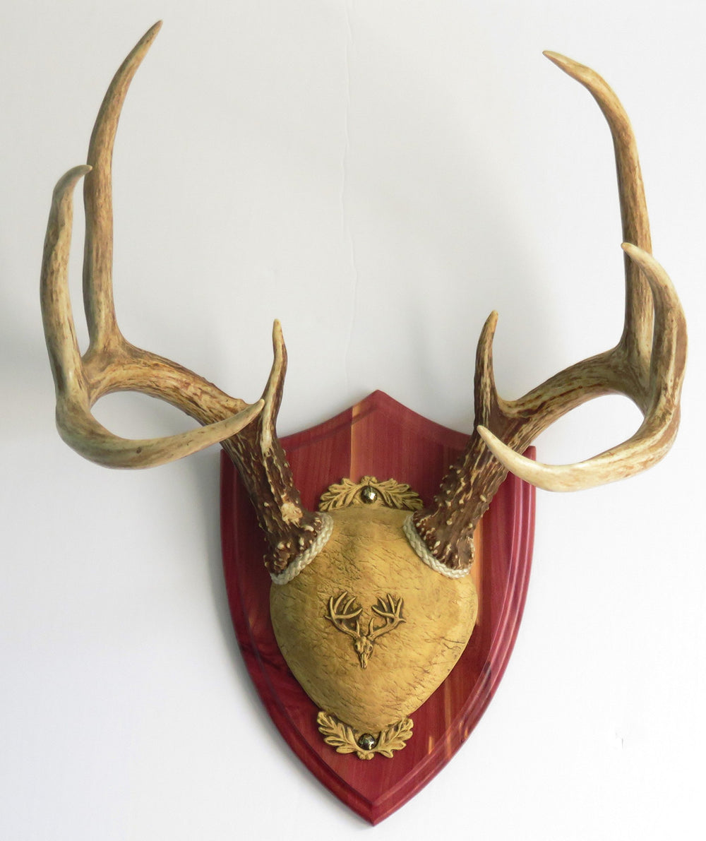 Taxidermists Woodshop TTW Cedar kit image showing easy DIY mounting with included hardware.