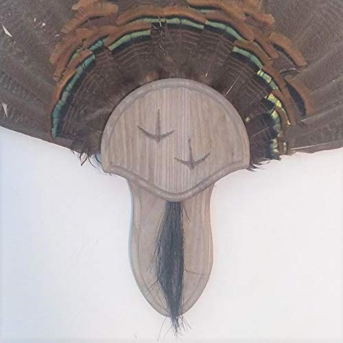 Taxidermists Woodshop weathered wood turkey mounting kit with beard plate for easy display