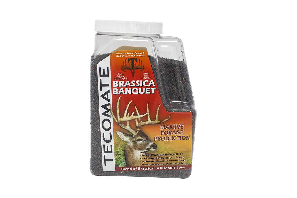 Tecomate Brassica Banquet bulbs offering high-sugar forage for deer in fall plots