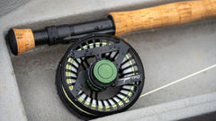 Temple Fork Outfitters Dispatch backing and line close-up for reliable line control