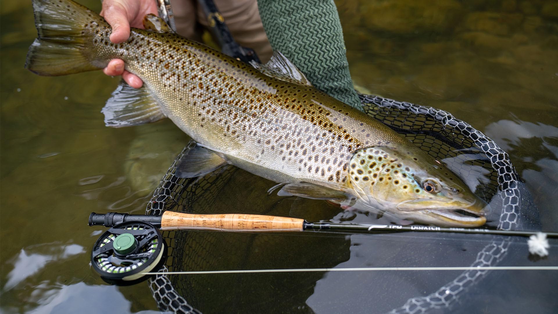Temple Fork Outfitters Dispatch Kit line setup ready to fish straight from the box.