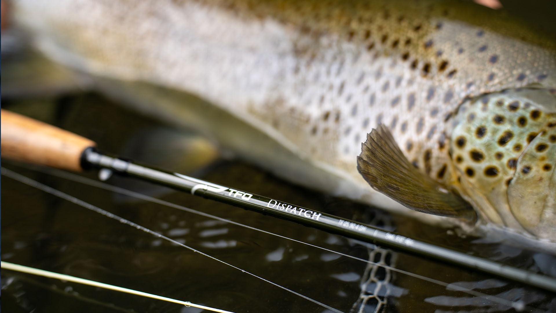 Stainless steel snake guides on Dispatch rod offer lasting strength and durability