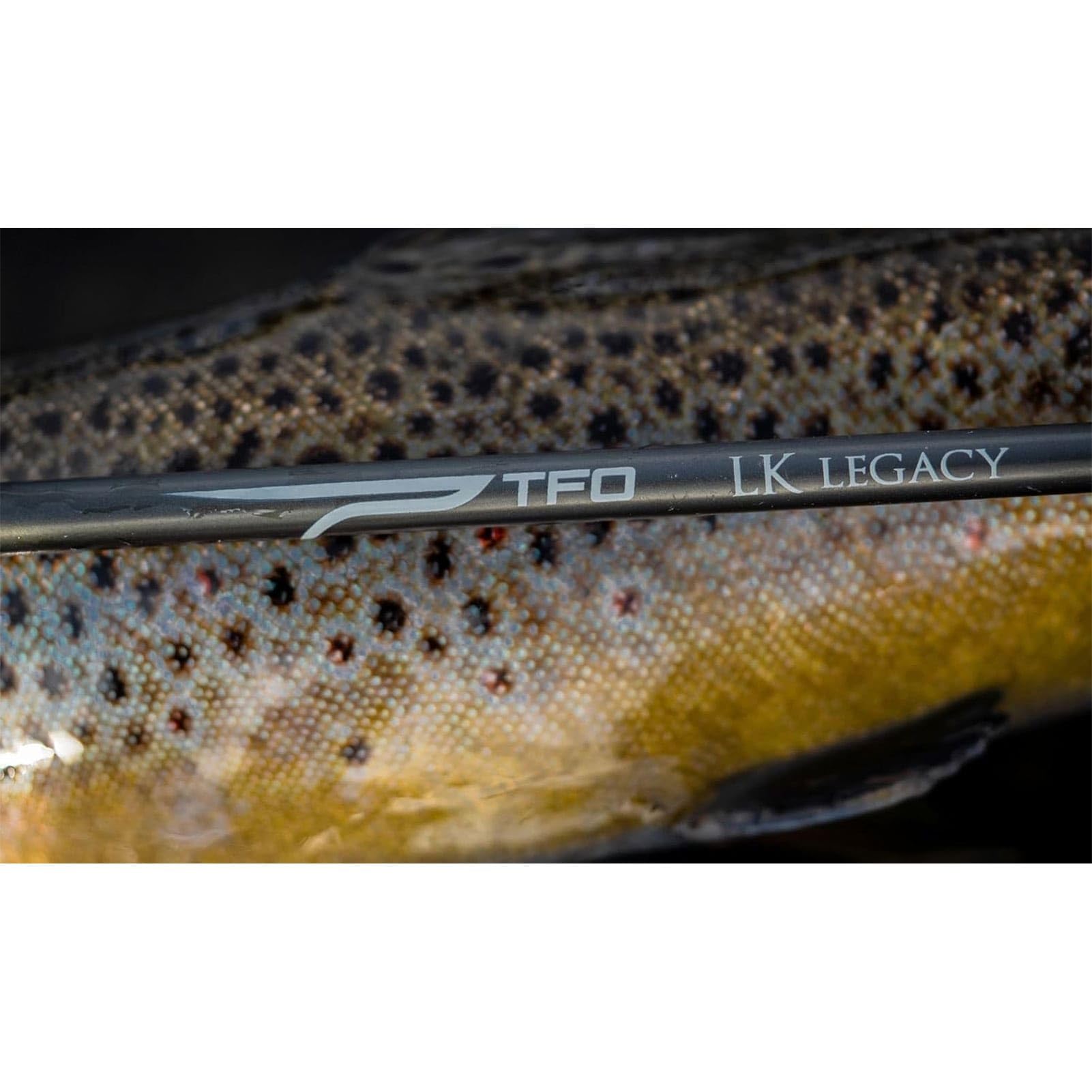Temple Fork Outfitters Legacy rod with angled hood design for quick assembly.