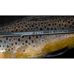 Temple Fork Outfitters Legacy rod with angled hood design for quick assembly.
