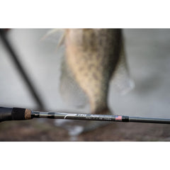 Temple Fork Pastime rod grips with minimalist cork and EVA for comfortable handling
