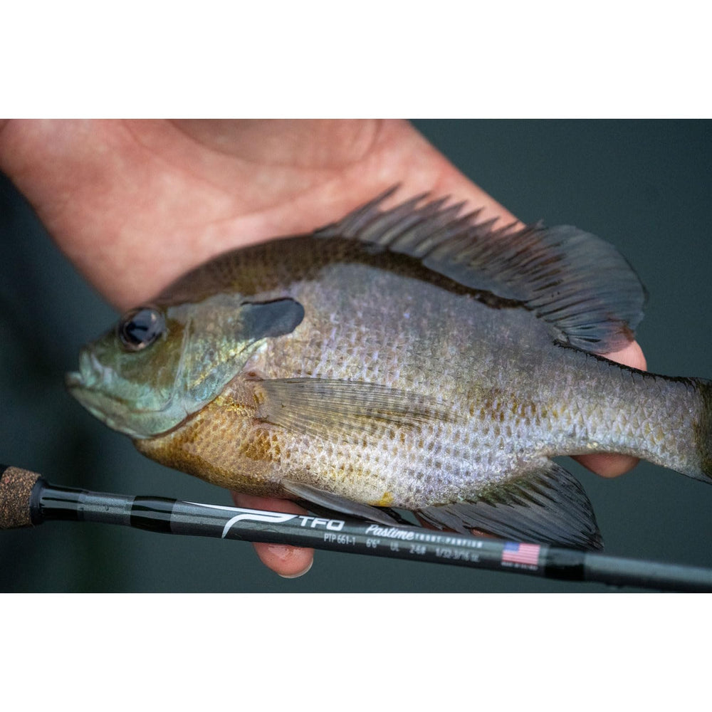 Temple Fork Pastime rod guides show Seaguide triangular rings for accurate line control