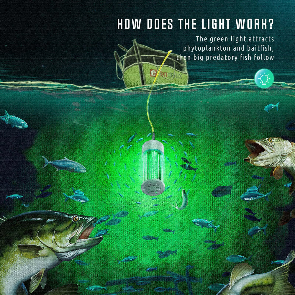 Tendelux light with 30ft cord on a dock enabling flexible setup