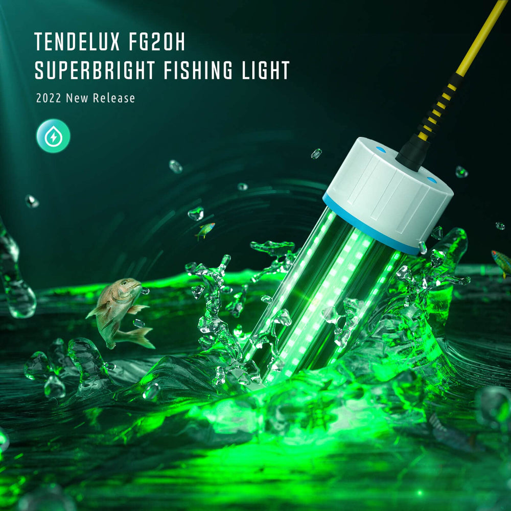 110-240V AC power adapter included for Tendelux underwater light