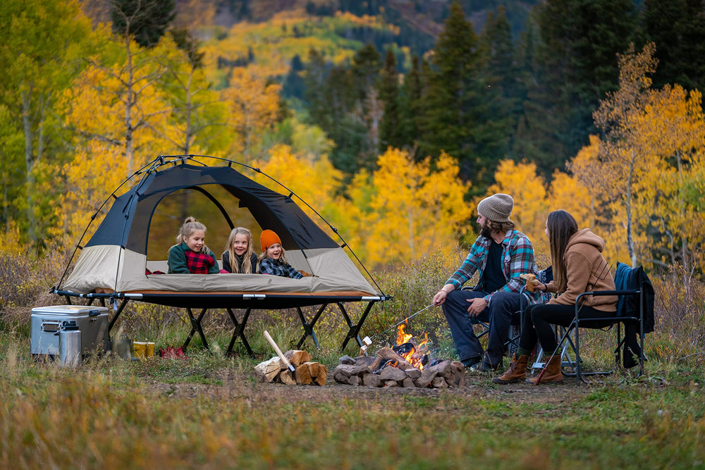 TETON Sports Vista Tent night sky seen through mesh for immersive views