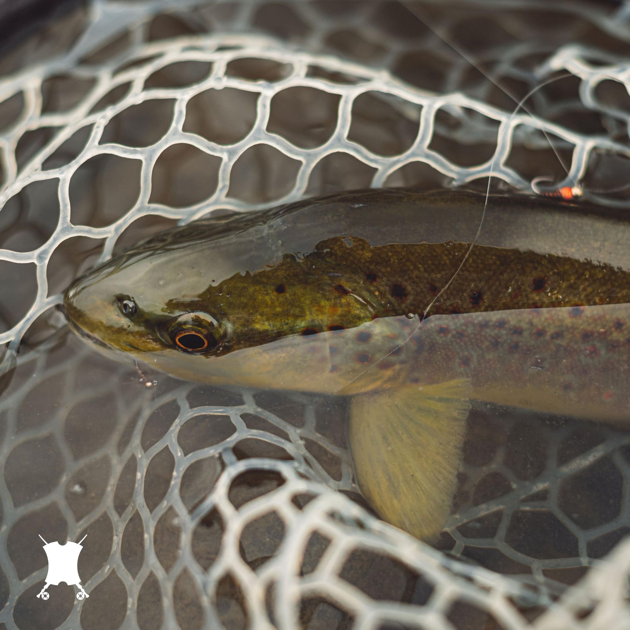 Beginner-friendly trout setup from The Fly Crate for euro or tight-line fishing.