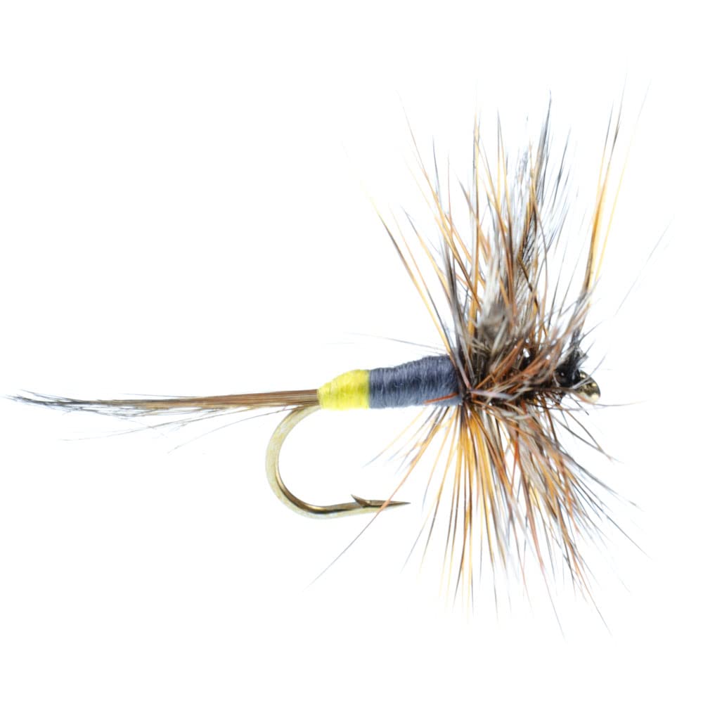 The Fly Fishing Place Adams Female Classic dry fly six-pack display, ready for early-morning hatch testing.