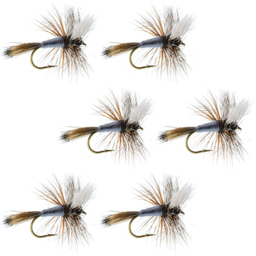 The Fly Fishing Place Adams Wulff dry fly set for trout with strong surface mayfly imitation