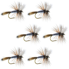 The Fly Fishing Place Adams Wulff dry fly set for trout with strong surface mayfly imitation
