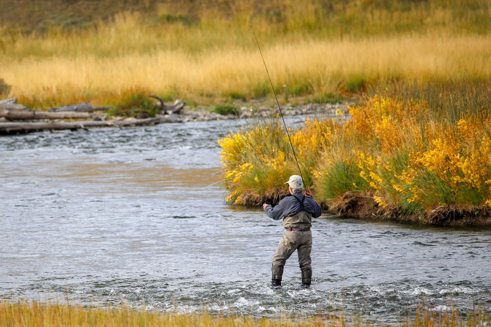 The Fly Fishing Place Alaska salmon steelhead trout fly draws attention with bead head glow.