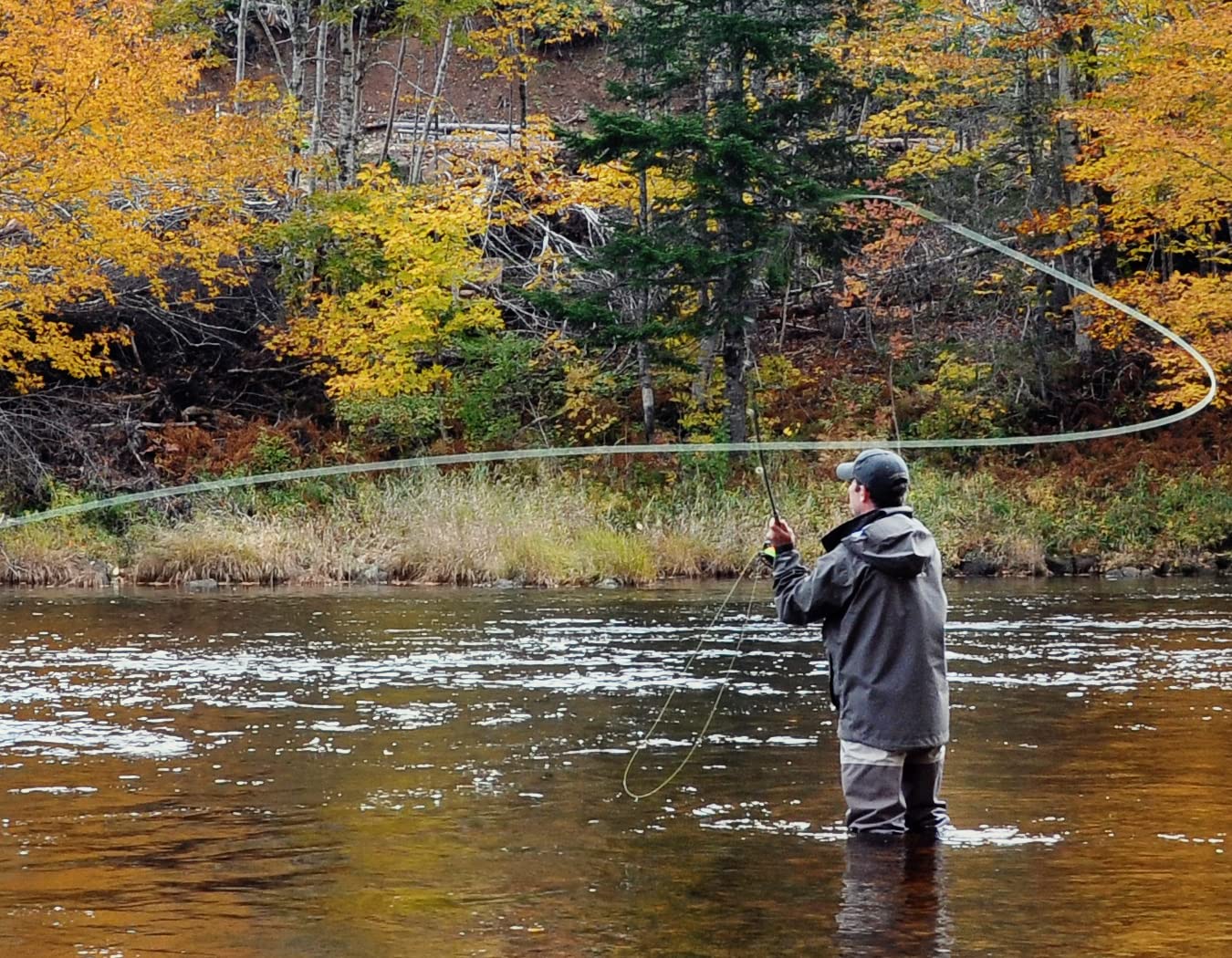 The Fly Fishing Place Ausable Wulff dry fly hook detail for durability.