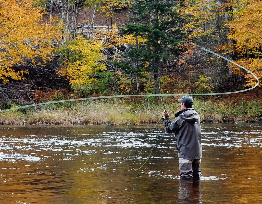 The Fly Fishing Place Ausable Wulff dry fly hook detail for durability.