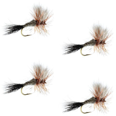 Set of four size 12 dries for versatile trout fishing by The Fly Fishing Place.