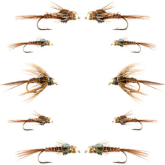 The Fly Fishing Place bead-head pheasant tail nymph close-up for trout