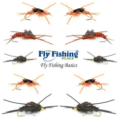 The Fly Fishing Place Bead Head Rubber Legs Wet Fly for fast-water presentations