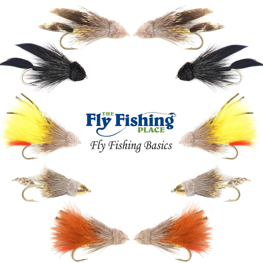 The Fly Fishing Place Basics Collection displayed ready for use.