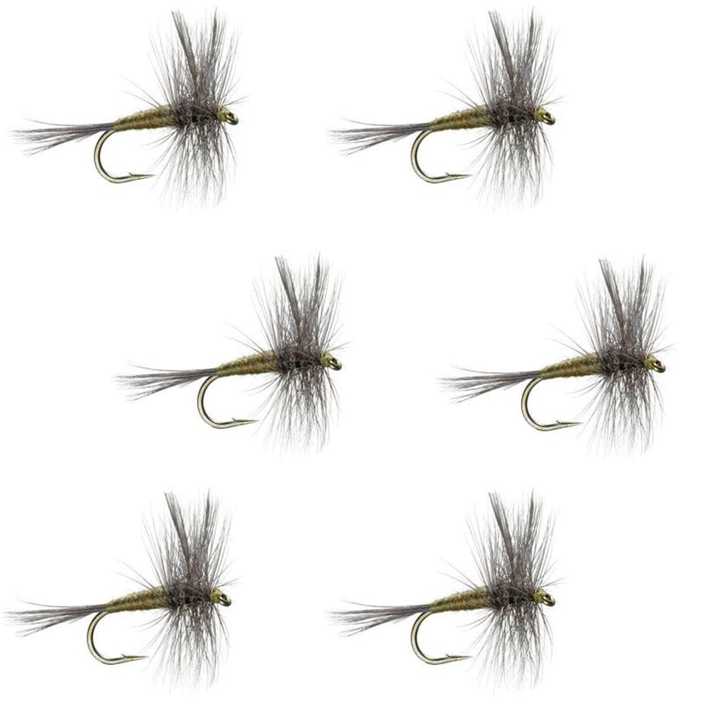 The Fly Fishing Place BWO classic dry fly set, size 20, ready for trout fishing.