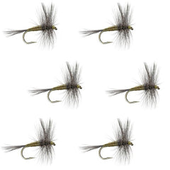 The Fly Fishing Place BWO classic dry fly set, size 20, ready for trout fishing.