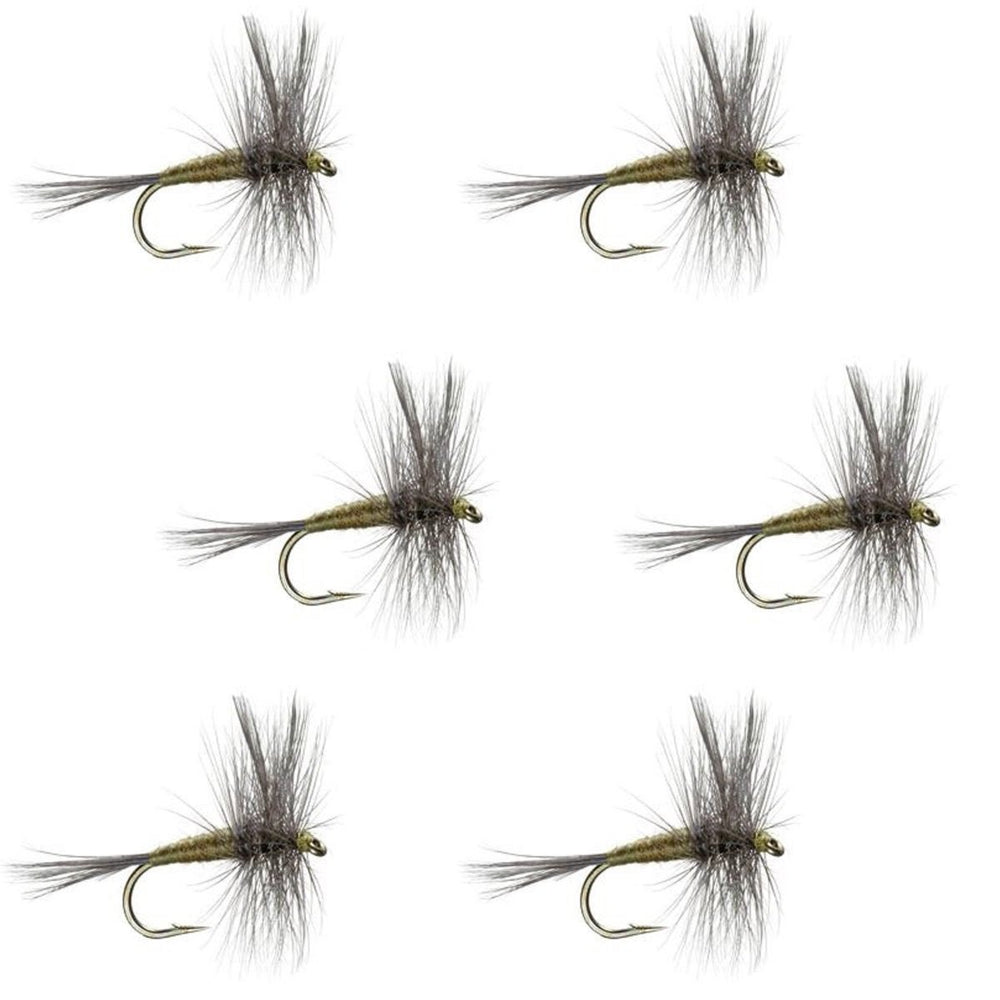 The Fly Fishing Place BWO dry fly set front view shows six sized 18 flies ready to fish