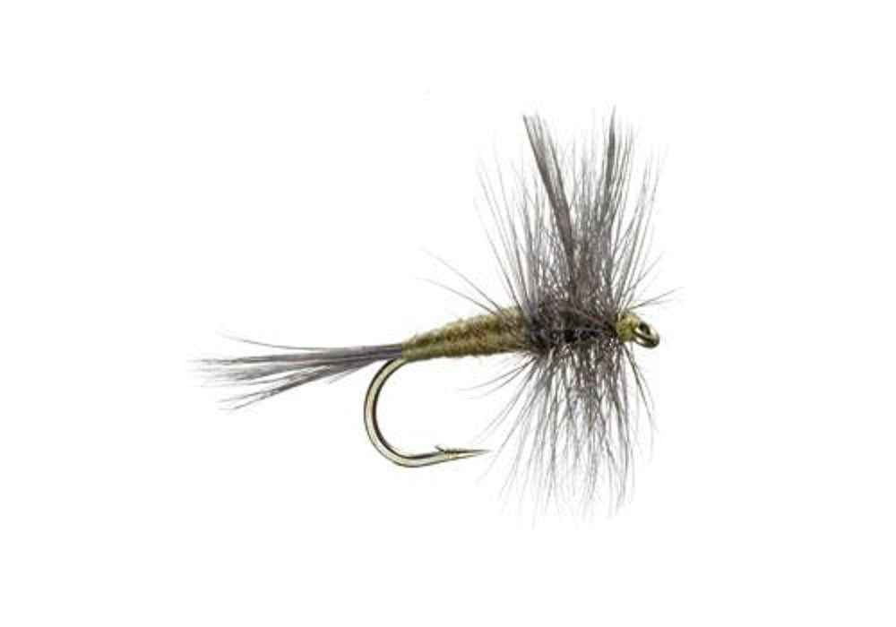 The Fly Fishing Place BWO dry fly wings olive close-up emphasizes natural coloration