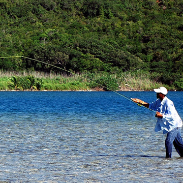 The Fly Fishing Place Clousers Deep Minnow on a 1/0 hook ready for freshwater and saltwater.