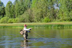 The Fly Fishing Place Daves Hopper in box reveals 12 flies across multiple sizes