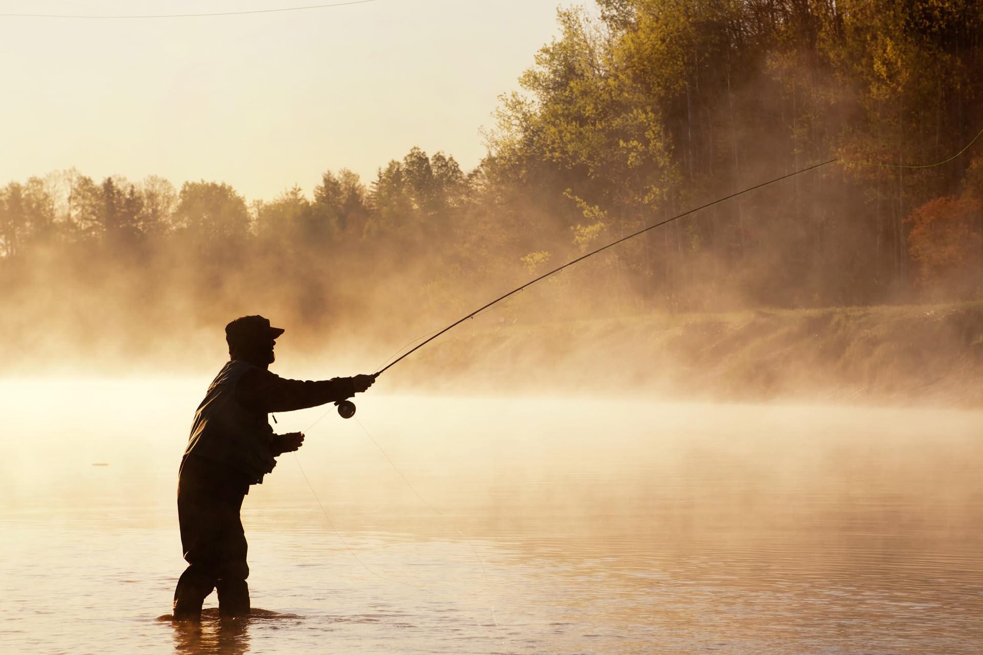 The Fly Fishing Place Dolly Llama Stinger trout steelhead bass use communicates broad big-water fishing potential.