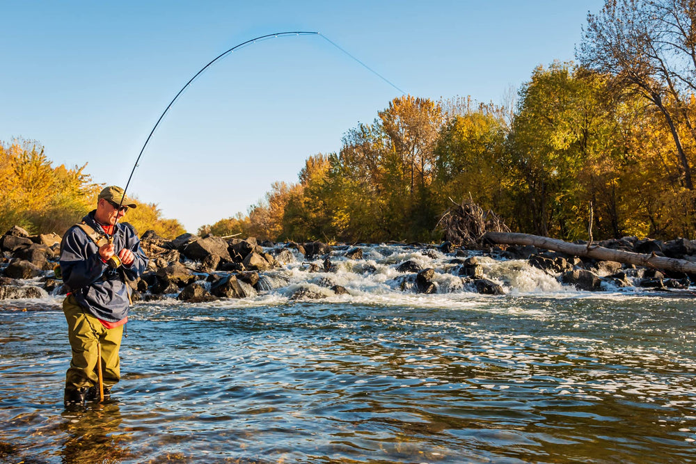 The Fly Fishing Place 6-pack Prince Nymphs reduce gear changes during quick river nymphing sessions.