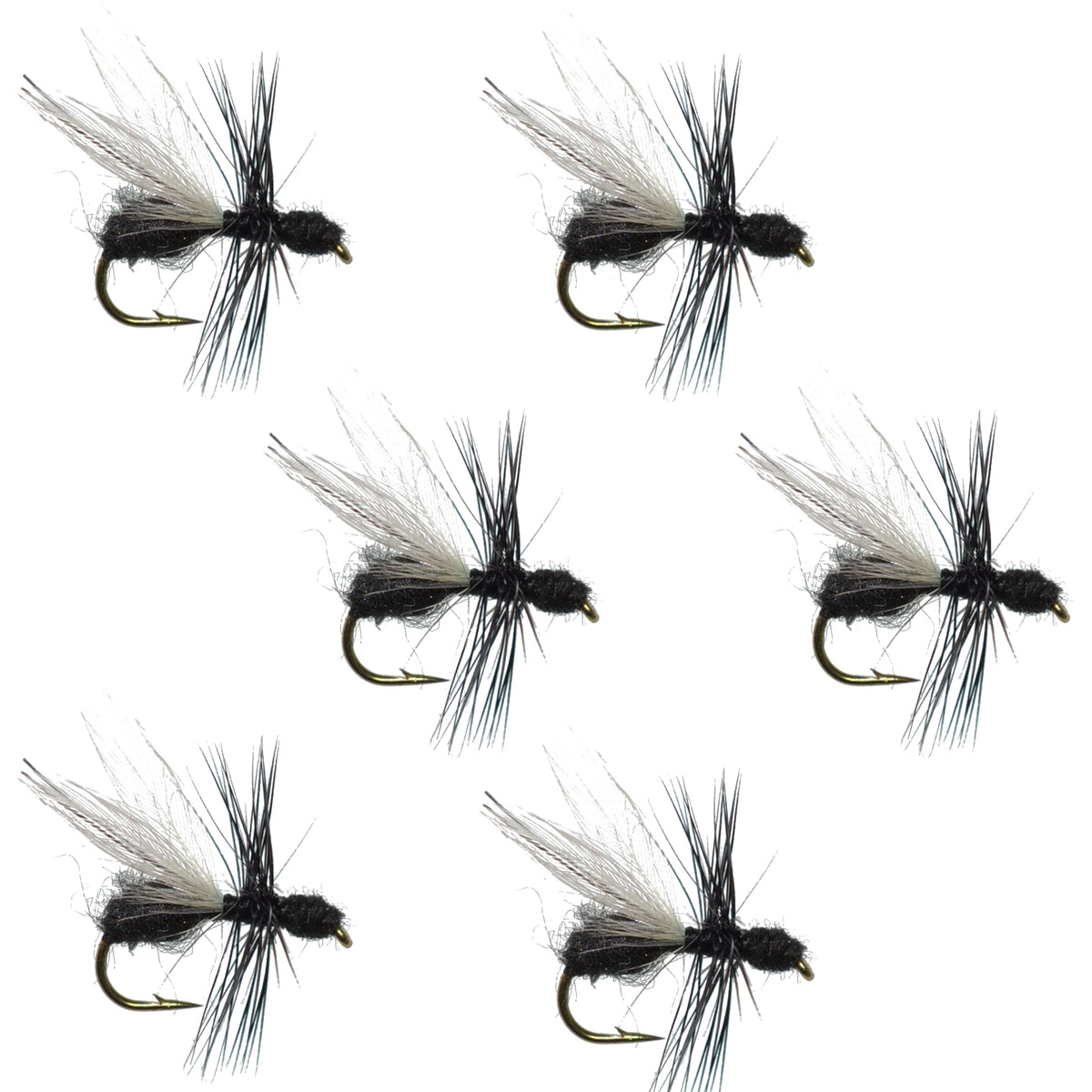 The Fly Fishing Place Flying Black Ant dry fly set, six flies, size 14, ready for rivers.